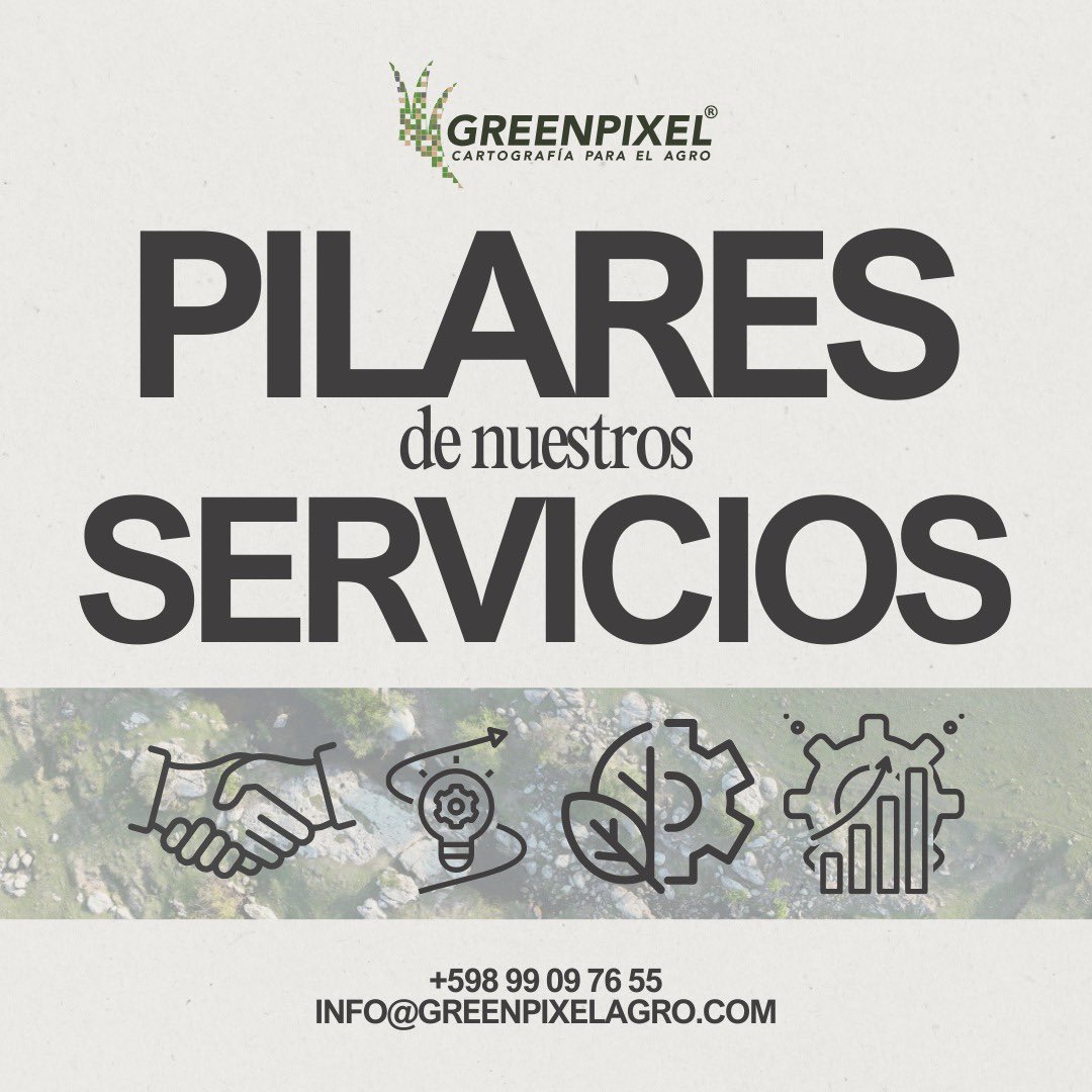 GreenPixel 🇺🇾 tweet media