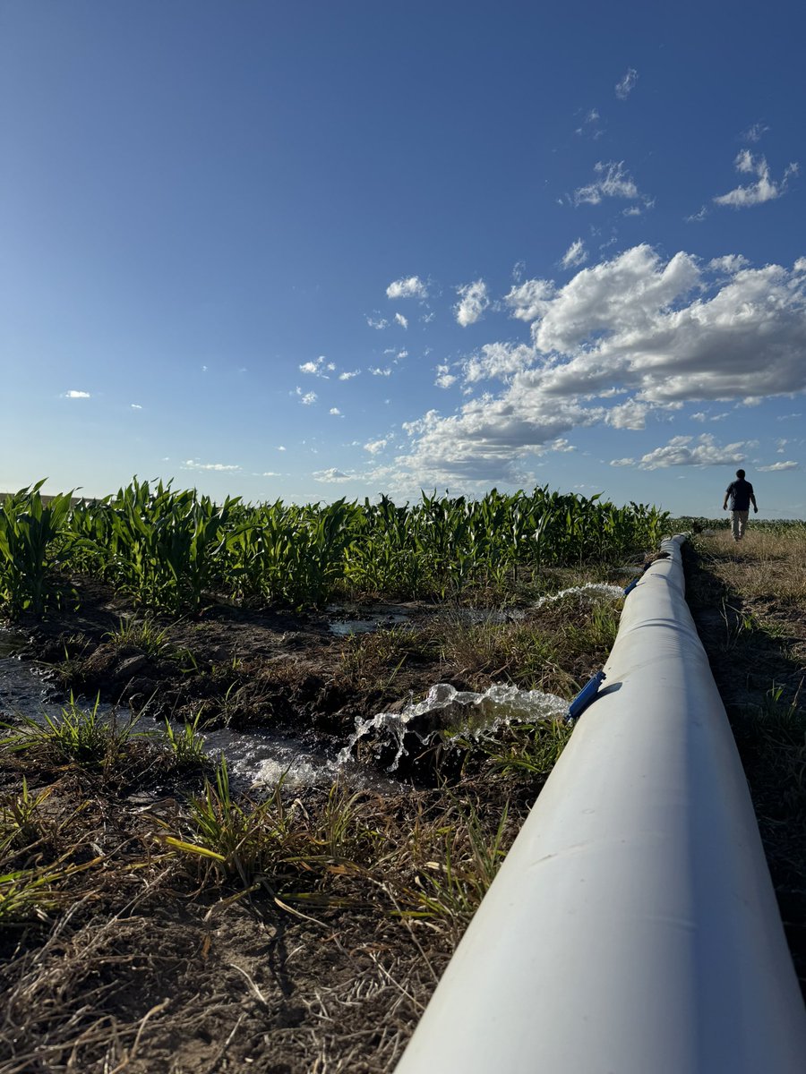 Federica Ramos🇺🇾 tweet media