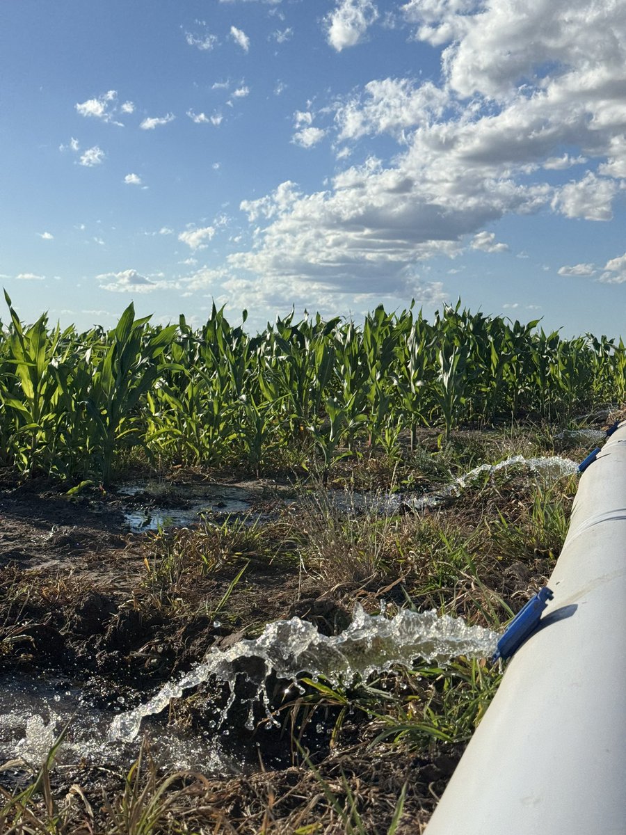 Federica Ramos🇺🇾 tweet media