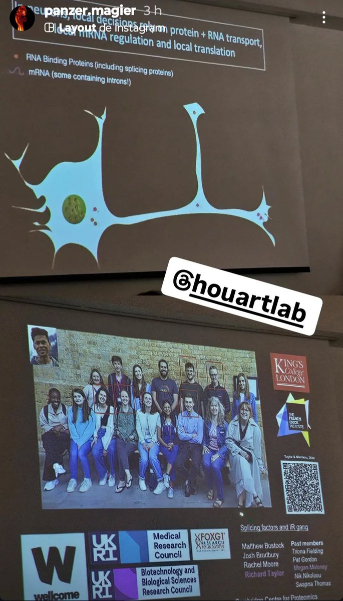 Zebramayor tweet media