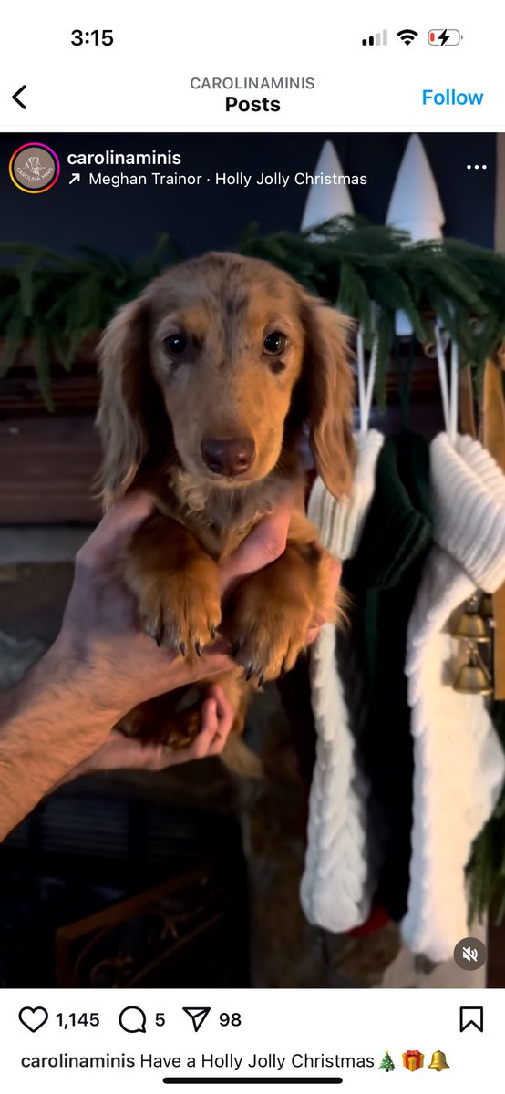 Les juro que uno crea unas necesidades muy horribles de tanto ver redes. 
Por ejemploooooo