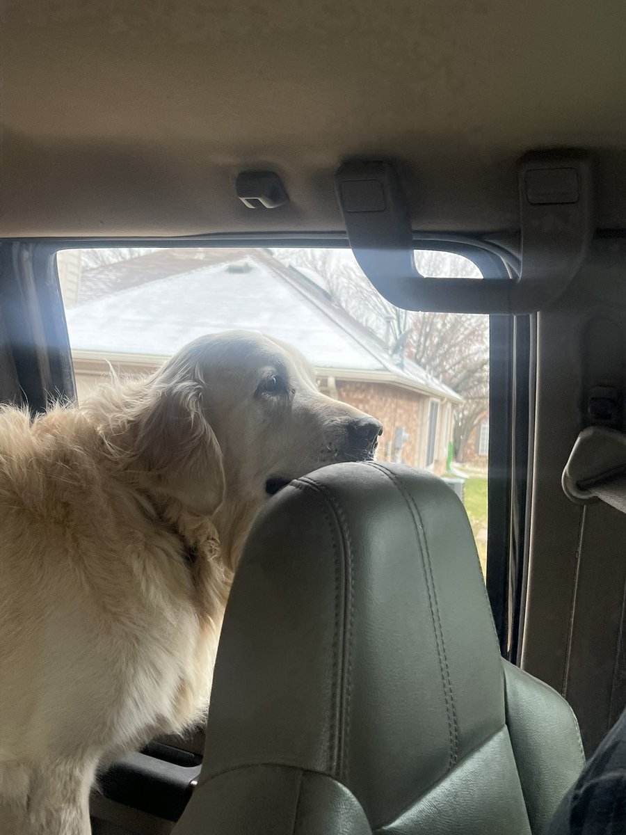 Melissa Harvey tweet media