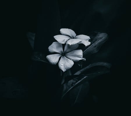 The night sky asked me:
Would I fancy a 
glass of Chardonnay
&amp; some stars?

Ah, the temptation gave me shivers in the 
beautiful places of my body 

But I am in love with the Moon
A name etched on my lips
&amp; soul moist from his touch 

Sweet love, woo me
all over again, please.