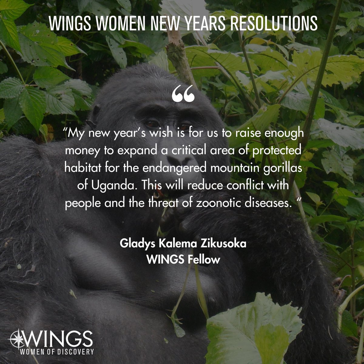 🌟 New Year, New Resolutions! 🌟 This week, we’re excited to share the New Year’s resolutions of the incredible WINGS women explorers. Today, we’re featuring Birgit Sattler and Gladys Kalema Zikusoka! Stay tuned each day for more inspiring resolutions from our amazing explorers.