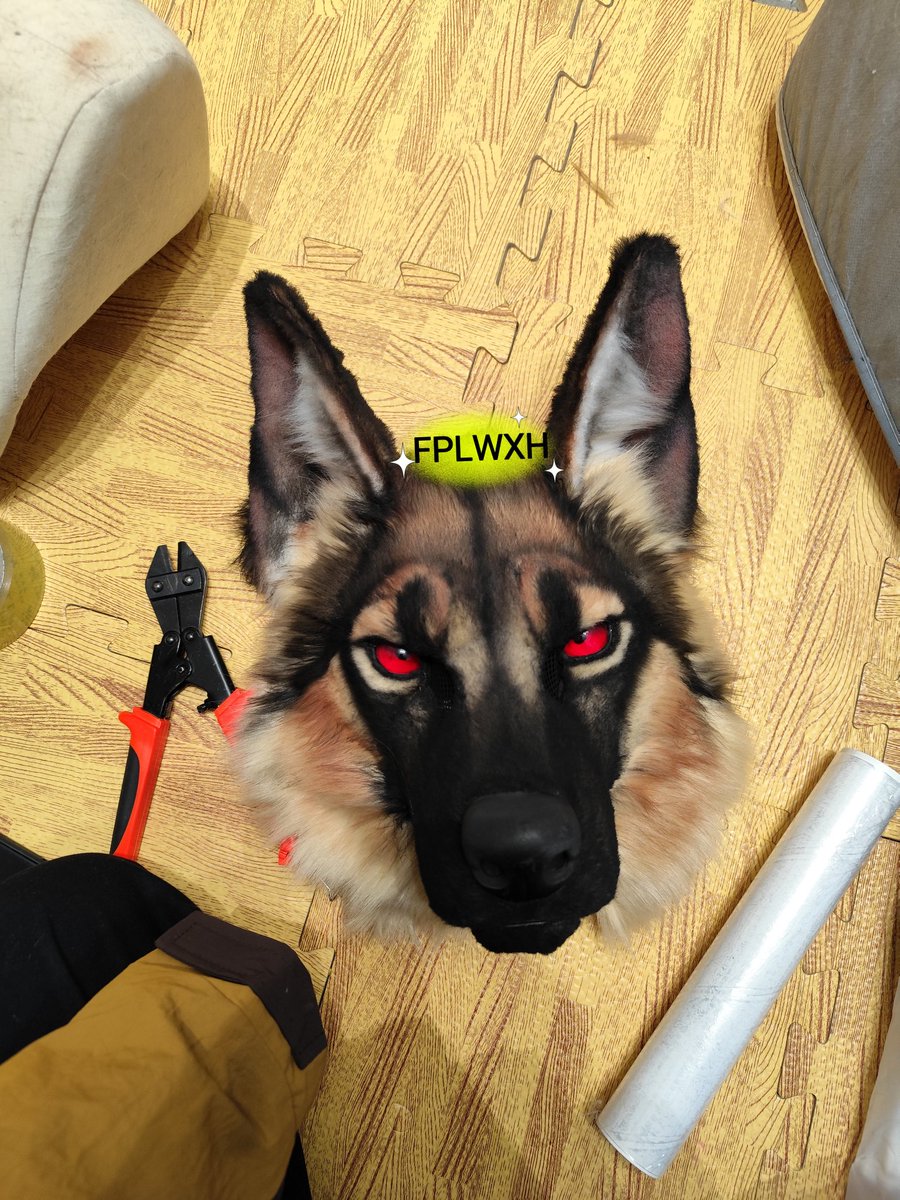 xiaoheinaodaili's tweet photo. 🐶
#fursuit https://t.co/qLa6cXuQwE