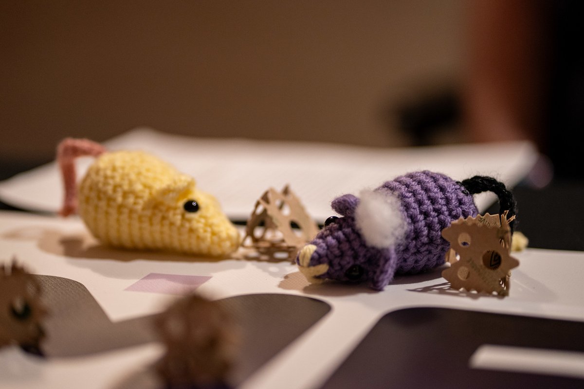 Another AMAZING turnout for the #AGDQ2025 #FrameFatales meetup this week!

If you're a woman or femme interested in joining the Frame Fatales community, please DM this account, DM the GDQ Instagram account, or go to framefatales.com for more info! 📷 💜💛