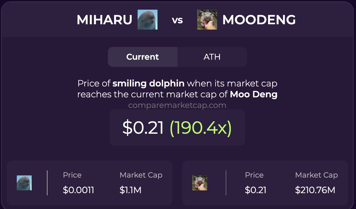 Smiling Dolphin | Miharu tweet media