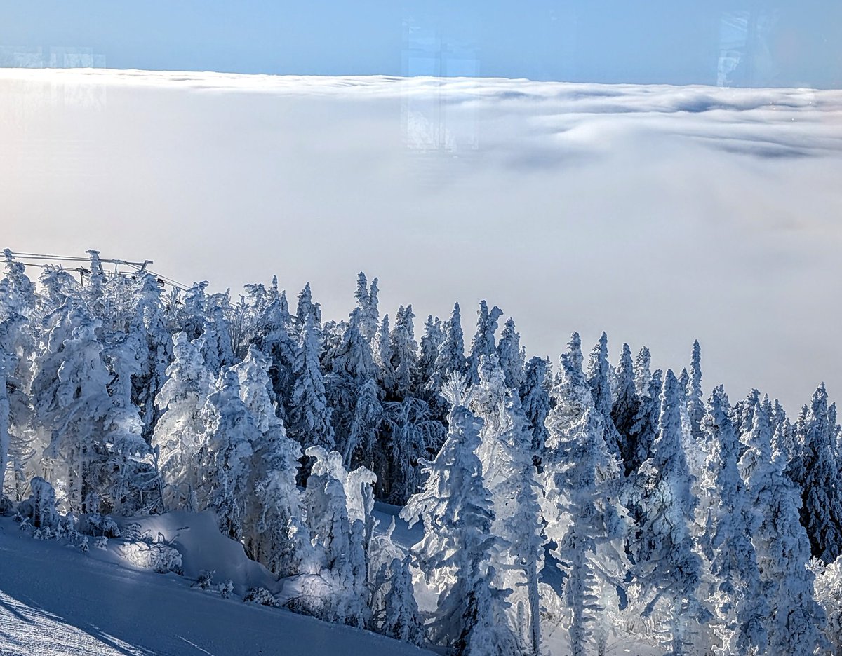 scratchboy's tweet image. #stationmonttremblant #monttremblant #skimonttremblant