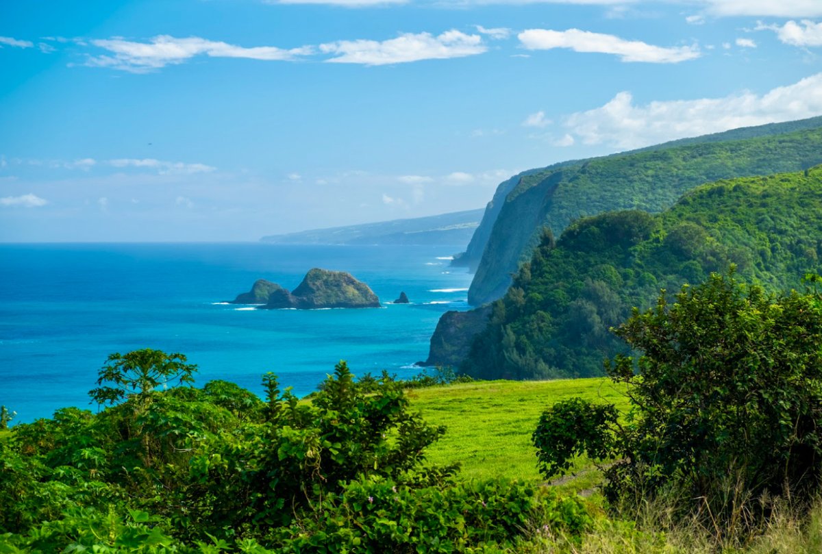 There’s no better way to start the weekend than with a cup of Royal Kona Coffee. Relax, recharge, and enjoy the island vibes as you sip your favorite brew. Here’s to good coffee and good company! 🥰🤙🏽☕️

#RoyalKonaCoffee #AlohaFriday #IslandVibes