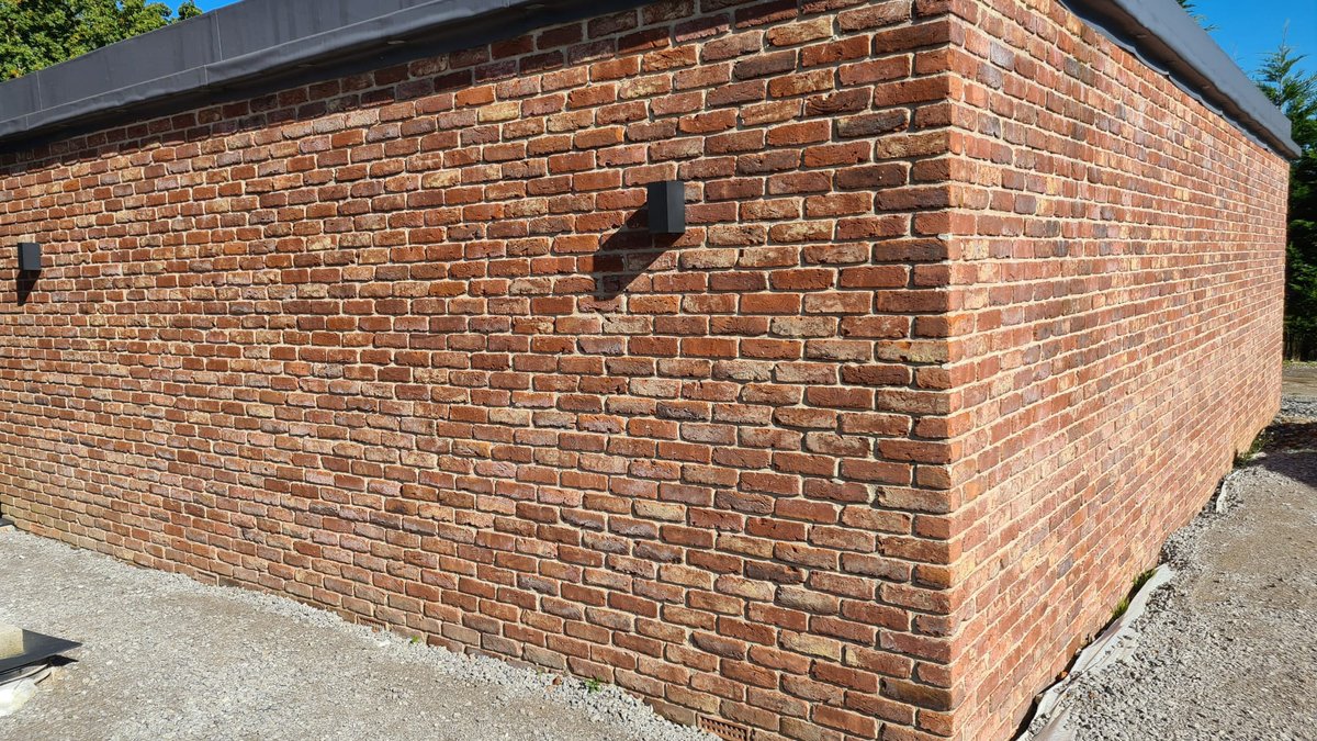 Chris Bisson tweet media