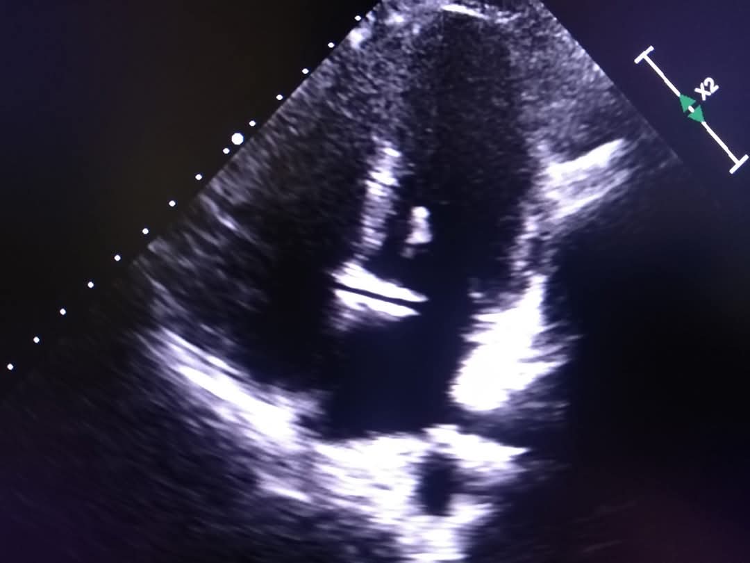 Ahmed Mohsen tweet media