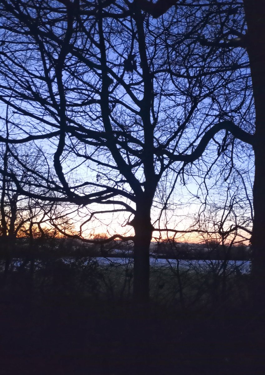 Out for a dusk walk 
as the sun set and the colour drains from the land
a score of geese skids into land on the frozen lake
a white owl flies across 
the black and white fields