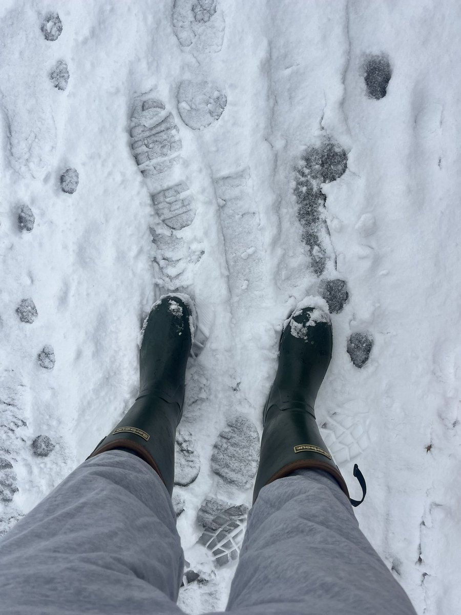 slimeurmans901's tweet photo. Barbour boots. Chat to my tax bracket #LANK https://t.co/23k8hsaz7J