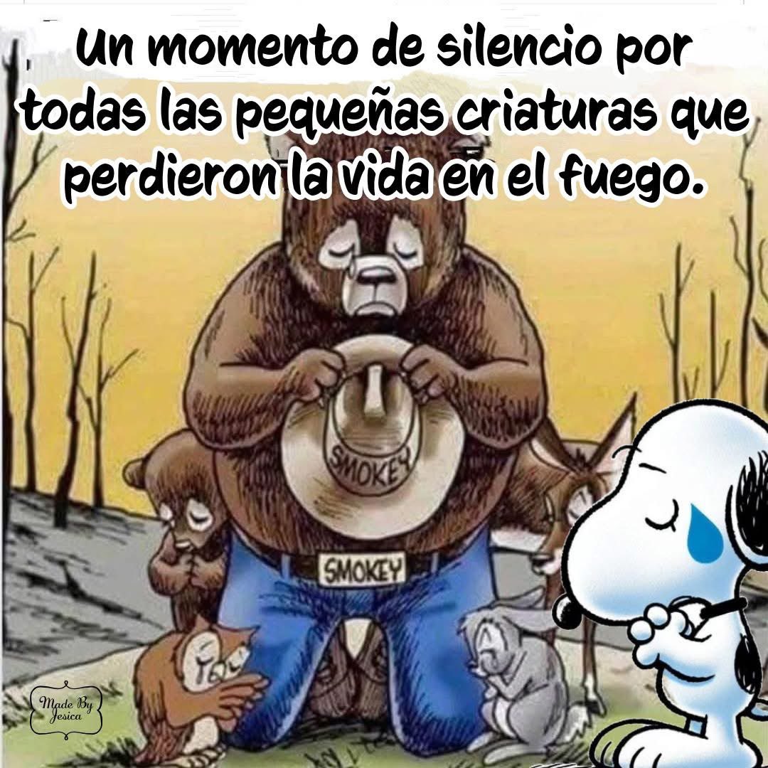 Guaiker Gonzalez (@Guaiker) / Posts / X