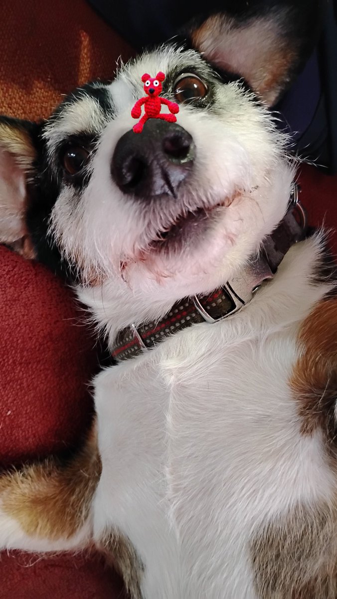 PSiReN-X tweet media