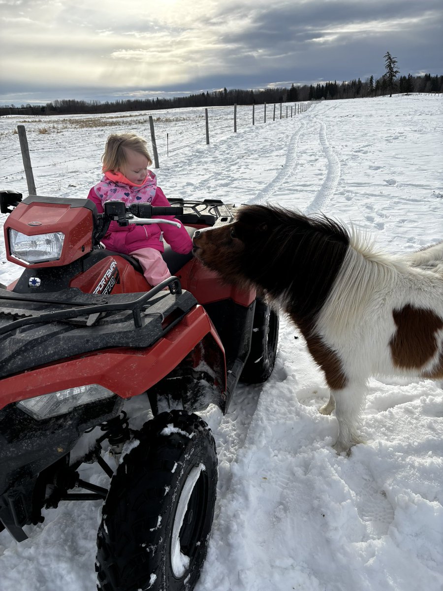 After being sick all week Katrina and I felt good enough to go check animals…where she promptly learned how to call an escaped cow a bitch 😅