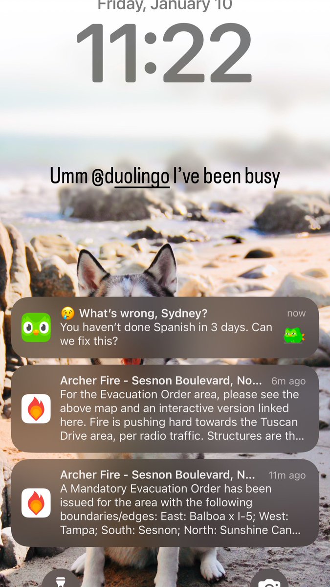 Syddwild's tweet photo. @duolingo I’ve been busy with my city burning down. https://t.co/SfKmWWMwJp