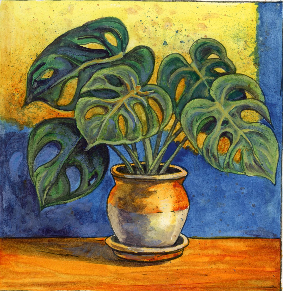 LifeImitatesDdl's tweet photo. #DoodlewashJanuary2025 prompt: Swiss Cheese Plant.
Did you know the name Monstera deliciosa translates to Delicious Monstrosity? #kuretakezig_usa Pigment pen &amp; #danielsmithartistsmaterials Watercolor in a #lightwish_official sketchbook.
 #WorldWatercolorGroup https://t.co/N62e95ILHX