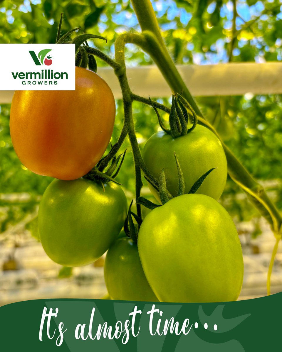 It’s almost time…