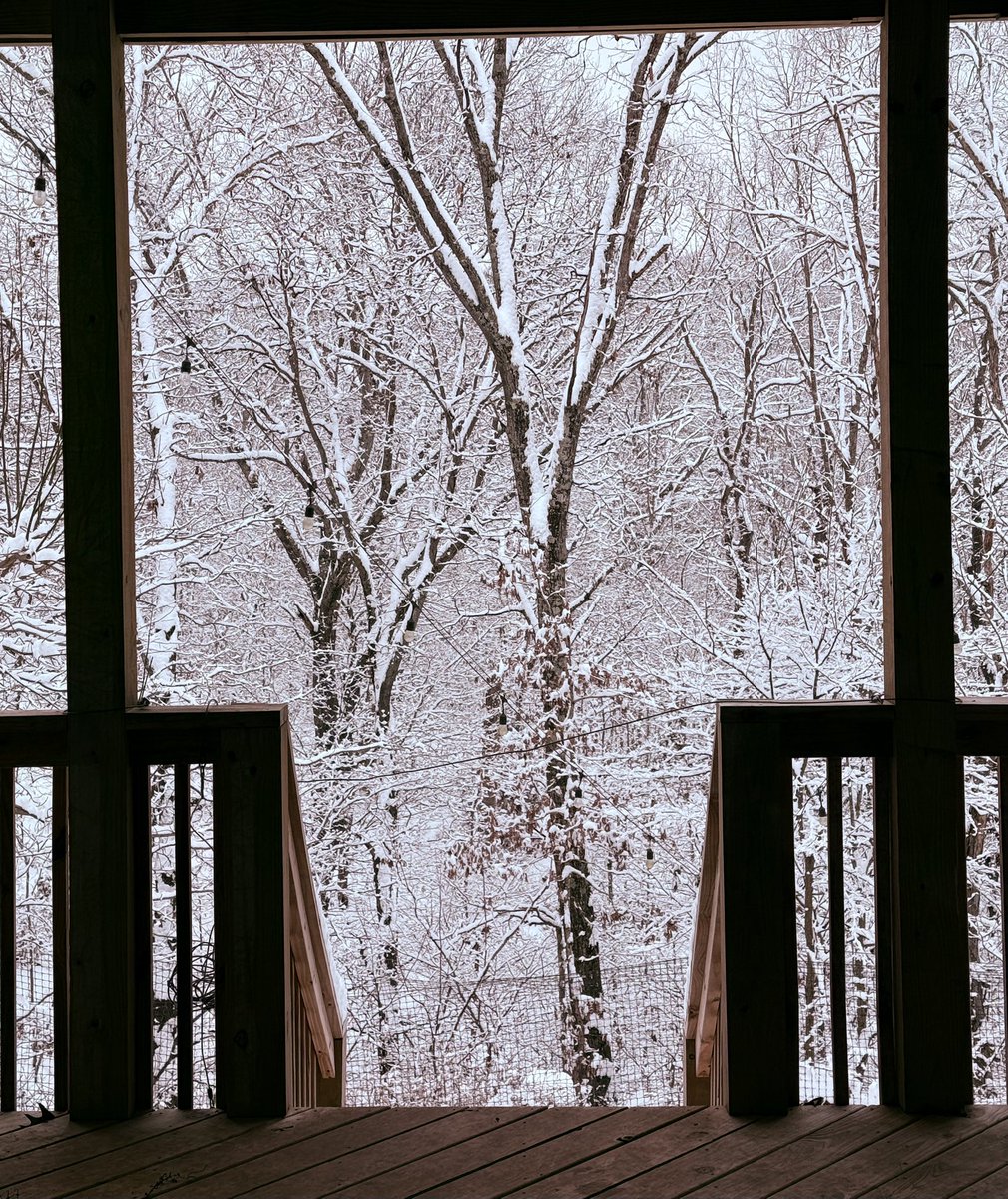 View from the back porch
