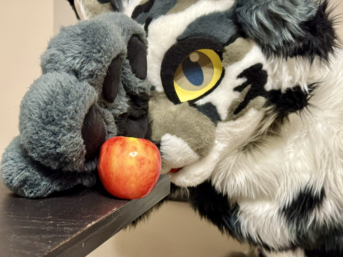 Nibs Meoi (@nibsmeoi) on Twitter photo #FursuitFriday I’m gonna knock it to the floor, just watch me!
🪡: <a href="/ScarletWingsFS/">Scarlet Wings Fursuits</a> #FursuitFriday I’m gonna knock it to the floor, just watch me!
🪡: <a href="/ScarletWingsFS/">Scarlet Wings Fursuits</a>