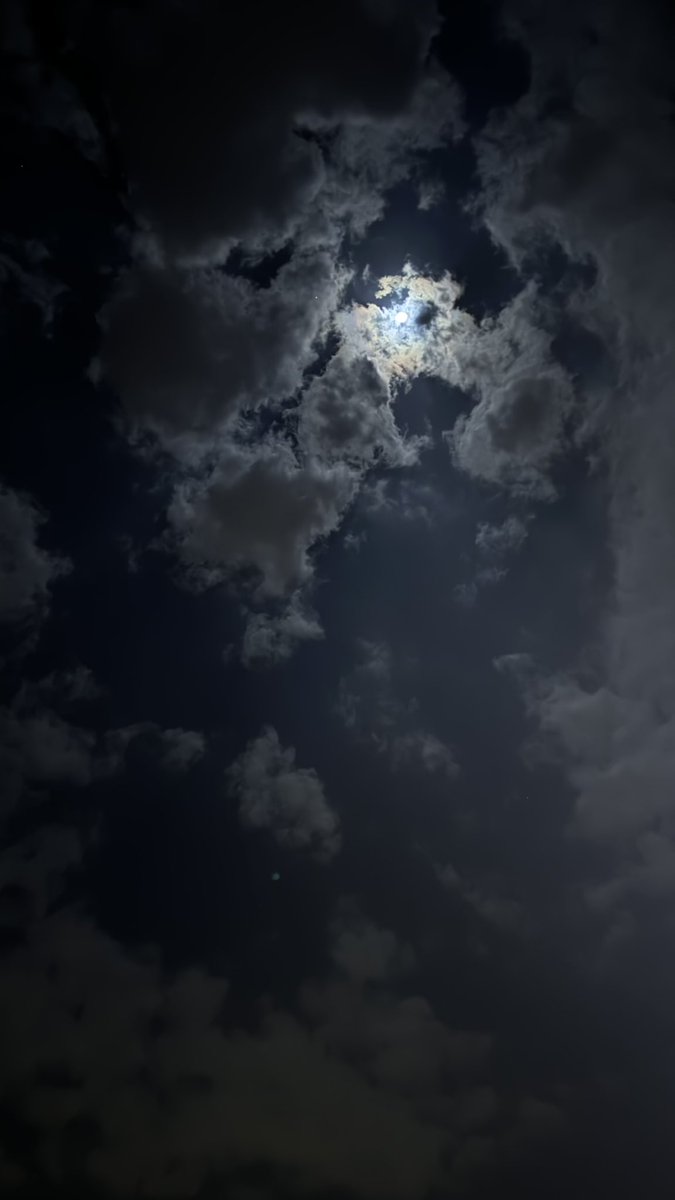 iox52's tweet image. تجيني طيوفك كنها بارد النسناس
يا اجمل من الهمّال في ليلةٍ قمرا .