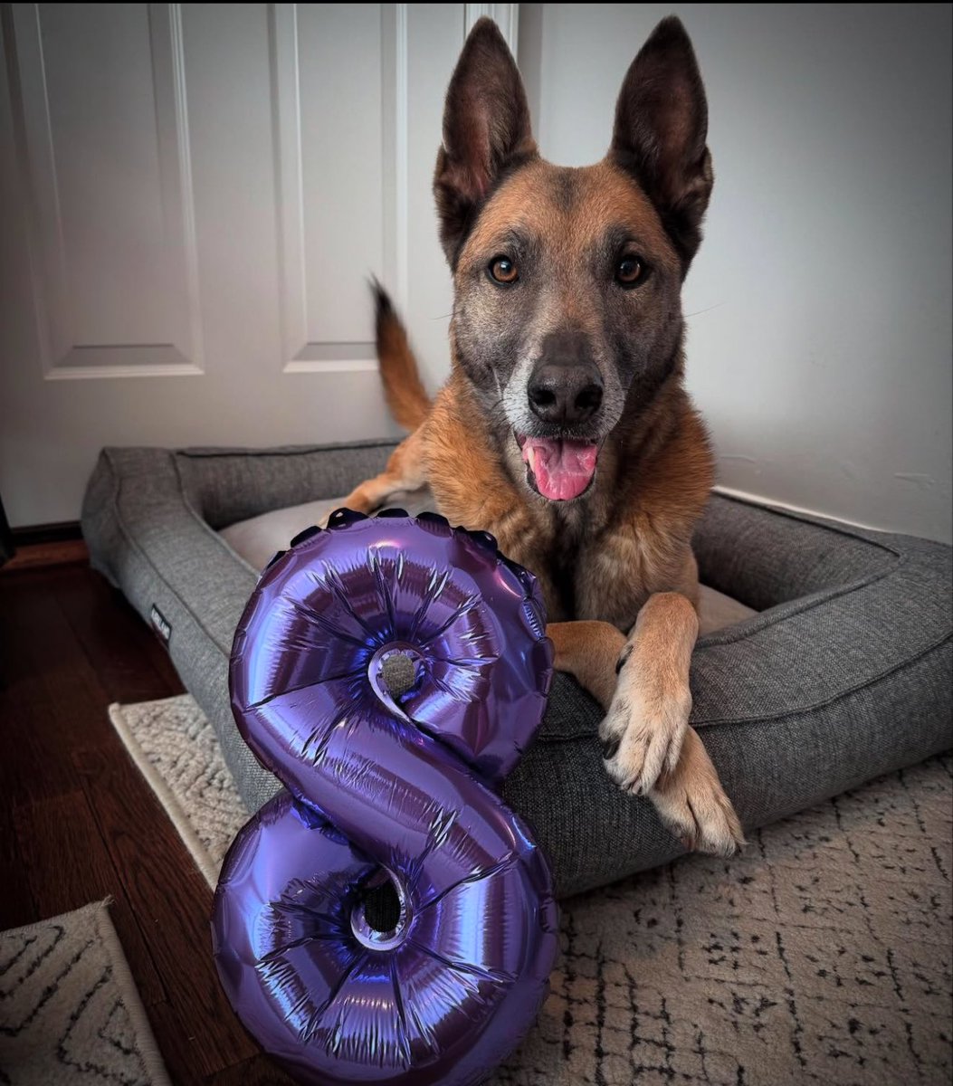 Happy 8th Birthday, Zada girl! 💜🎂