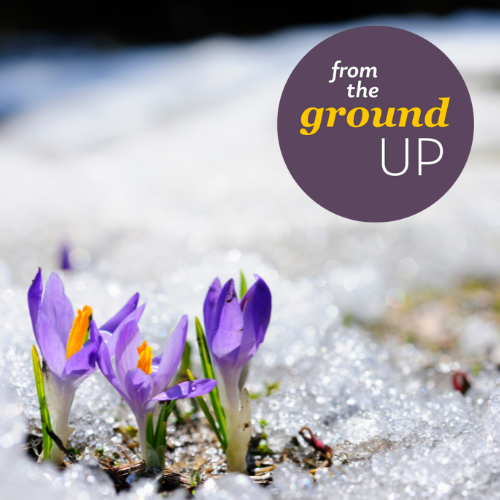 The new year is here, and there's no shortage of writing workshops, retreats, festivals, readings, and other opportunities around B.C. and beyond to keep you inspired. 

Read our latest blog to find out more: bcwriters.ca/articles?p=new…