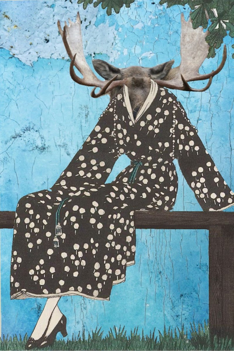 Kate MacDonald ✨ tweet media