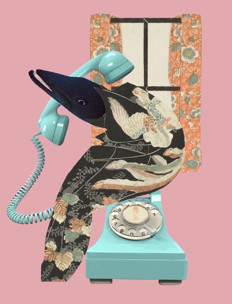 Kate MacDonald ✨ tweet media