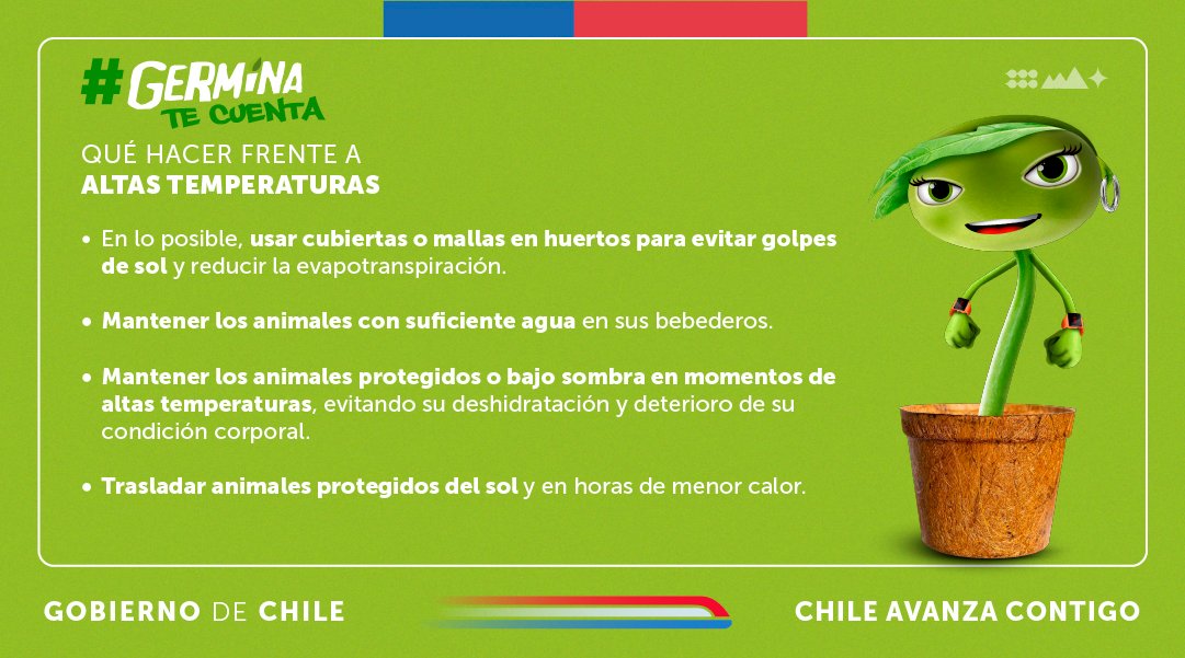 ⚠️Atención agricultores y agricultoras 👩‍🌾👨‍🌾
 
🌡️🌱#GerminaTeCuenta qué hacer frente a las altas temperaturas para proteger tus cosechas y animales.

Recuerda, si ves humo o fuego al aire libre, debes llamar al 📞130 de CONAF.