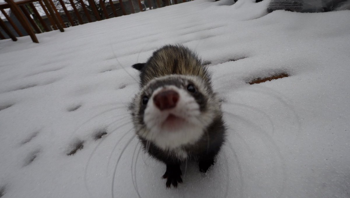 Tiffany Weng tweet media