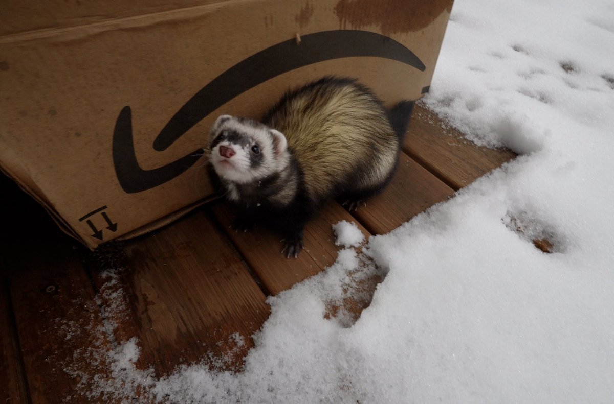 Tiffany Weng tweet media