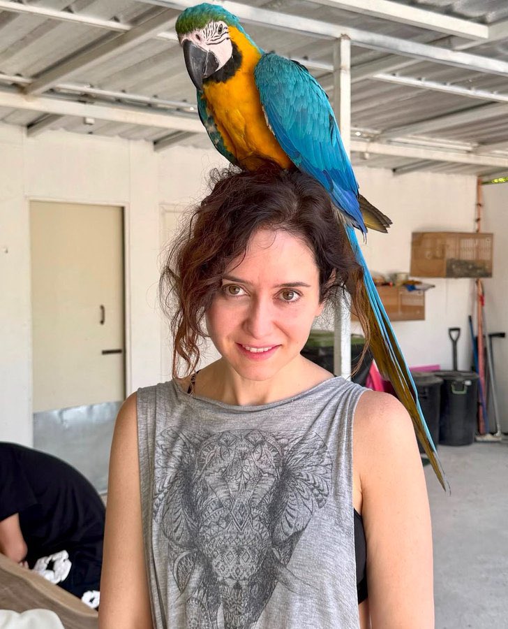 Luîh Sanz 💚❤️💚 tweet media