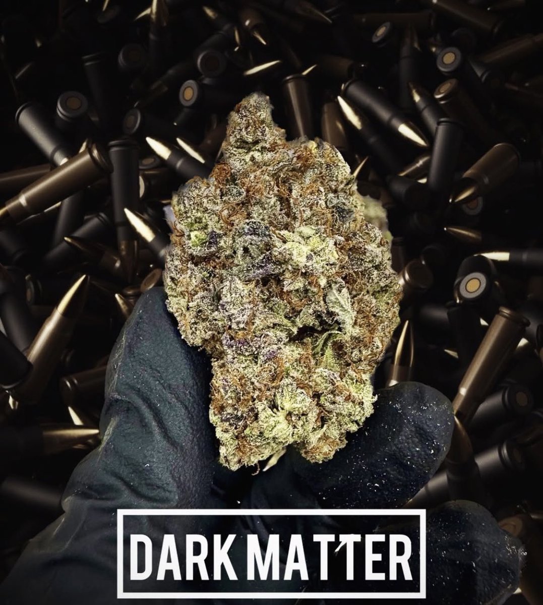 SixOneCharlie tweet media