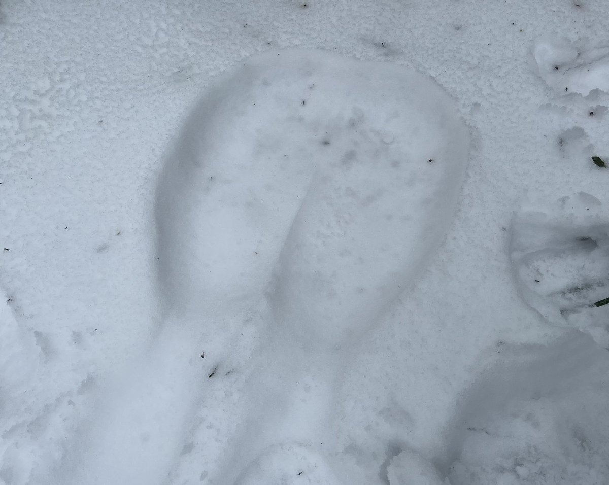 BoiSquishyy's tweet photo. Not a lot but it snowed!! https://t.co/kEY06w6utu