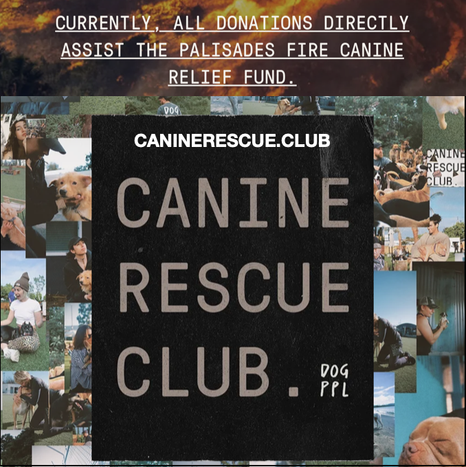 Samantha Smith tweet media