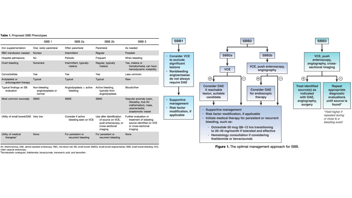 🩸 El sangrado del intestino delgado es cada vez más común, debido en gran parte al aumento de las comorbilidades (edad) y al uso de anticoagulantes

Los autores de esta revisión proponen una nueva clasificación según el fenotipo y acciones a seguir 🤔

doi.org/10.1016/j.cgh.…