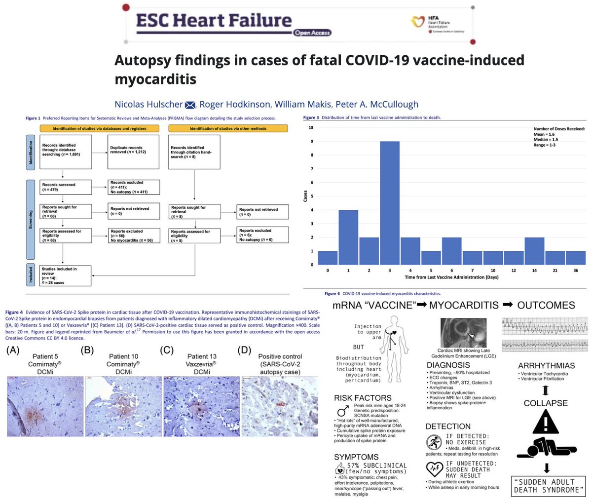 One of our autopsy studies found that, in individuals who died from myocarditis following COVID-19 'vaccination', the injection was identified as the cause of death in 100% of cases. 

These cardiotoxic injections often result in fatal consequences and must be withdrawn from