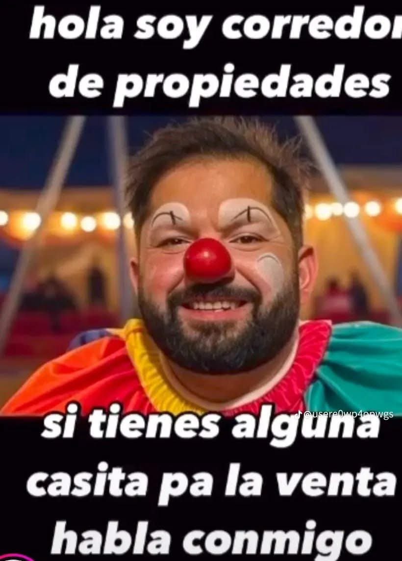 Maca Allendes tweet media
