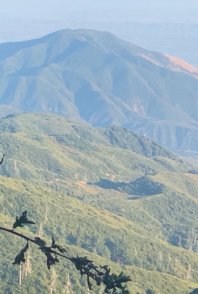 These catastrophic fires in California are preventable.

Scrub and brush has been accumulating for decades with no management. 

Livestock grazing, prescribed fire, herbicide, and forestry mulching would all help reduce the severity of these wildfires. 

This picture is looking