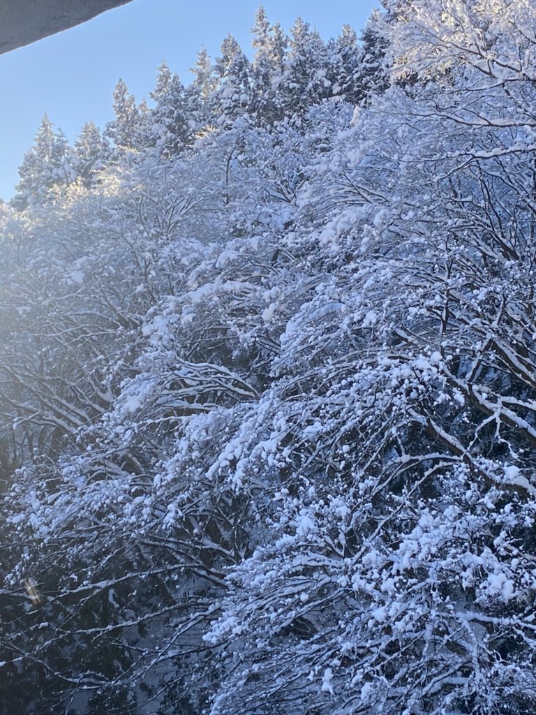 大滝詠一　外はいい天気だよ '78 youtu.be/-CQfbty-YGA?si…