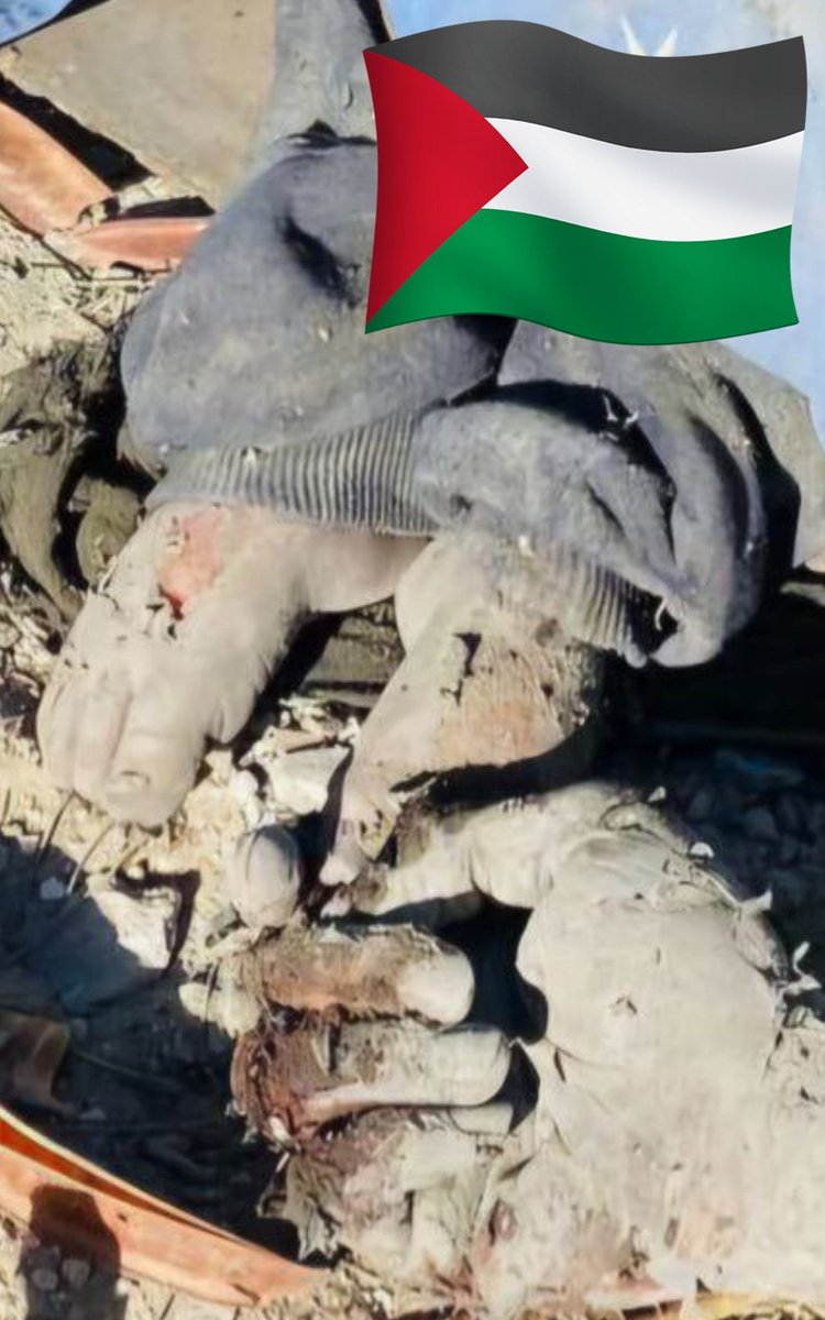 ‼️ Por favor ayúdame a vencer los algoritmos de la X, Elon Musk me tiene suspendido la cuenta, ya que no me permite tener más seguidores y no deja salir las publicaciones.

Hablar sobre GAZA, PALESTINA o SIRIA le está dando problemas.

Si ves esta imágen comenta con 🇵🇸🍉

Gracias