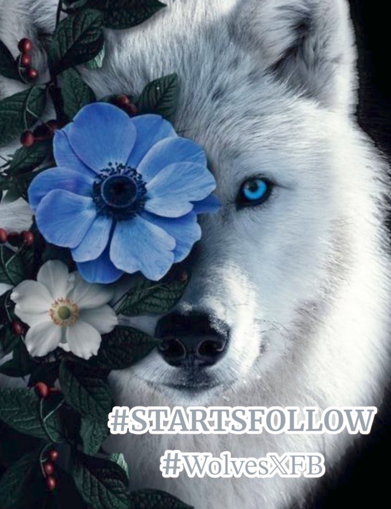 💛 𑜞᭄ MaryEly🌻 (@_maryely_) on Twitter photo 💙#StartsFollow
#PlsJoy
#EliFriends
<a href="/florchicana/">Selene 𝕏🖤Perfectly imperfect 🖤❌DM❌</a>
<a href="/nunespereirabr/">Efeito Borboleta</a>
<a href="/XEpifania3/">Sophie</a>
<a href="/S2_CarlaS2/">꧁༺Carla༻꧂#EliFriends━★✼☆</a>
<a href="/_MaryEly_/">💛 𑜞᭄ MaryEly🌻</a>
<a href="/glmsjd/">𝑺𝒂𝒋𝒋𝒂𝒅 ✨</a>
<a href="/M3ChaN_1/">┫❊◉ÇHĮŃŤÀ◉❊┣</a>
<a href="/JennyDazze/">𝒥ℯ𝓃𝓃𝓎࿐🦋</a>
<a href="/PAYthe_PIPER/">PIPER #MAGA GAINS</a>
<a href="/mgor2021/">🆁🅾🅱🅴🆁🆁🅾🆄🅰</a>
<a href="/RobertPage68/">#EliFriends 👉Robert👈</a>
❤<a href="/papiko7890/">ぱぴこ❤</a>
<a href="/WALLI27/">Jhon f perez🎶🎸🚵☯</a>
<a href="/mamiRD_/">🇩🇴mamiRD_ #LoveDeMami❤ AmigosDe❤</a>
<a href="/kamil_gk/">kamil ali gök</a>
<a href="/OdriSeva/">Odri Seva</a>
<a href="/MSTQ86/">007🏃💎</a> <a href="/V13lula/">Karen Lúcia♀️🚩🌵</a>
<a href="/Aly9a/">Aly9a</a> @sids_78
<a href="/NawarAllawi/">#NawarAllawi 🌿🕊❤🦂_نوار</a>
<a href="/glenton123/">Mark Glenton/ Mindfrontiers🤵🧐</a> 💙#StartsFollow
#PlsJoy
#EliFriends
<a href="/florchicana/">Selene 𝕏🖤Perfectly imperfect 🖤❌DM❌</a>
<a href="/nunespereirabr/">Efeito Borboleta</a>
<a href="/XEpifania3/">Sophie</a>
<a href="/S2_CarlaS2/">꧁༺Carla༻꧂#EliFriends━★✼☆</a>
<a href="/_MaryEly_/">💛 𑜞᭄ MaryEly🌻</a>
<a href="/glmsjd/">𝑺𝒂𝒋𝒋𝒂𝒅 ✨</a>
<a href="/M3ChaN_1/">┫❊◉ÇHĮŃŤÀ◉❊┣</a>
<a href="/JennyDazze/">𝒥ℯ𝓃𝓃𝓎࿐🦋</a>
<a href="/PAYthe_PIPER/">PIPER #MAGA GAINS</a>
<a href="/mgor2021/">🆁🅾🅱🅴🆁🆁🅾🆄🅰</a>
<a href="/RobertPage68/">#EliFriends 👉Robert👈</a>
❤<a href="/papiko7890/">ぱぴこ❤</a>
<a href="/WALLI27/">Jhon f perez🎶🎸🚵☯</a>
<a href="/mamiRD_/">🇩🇴mamiRD_ #LoveDeMami❤ AmigosDe❤</a>
<a href="/kamil_gk/">kamil ali gök</a>
<a href="/OdriSeva/">Odri Seva</a>
<a href="/MSTQ86/">007🏃💎</a> <a href="/V13lula/">Karen Lúcia♀️🚩🌵</a>
<a href="/Aly9a/">Aly9a</a> @sids_78
<a href="/NawarAllawi/">#NawarAllawi 🌿🕊❤🦂_نوار</a>
<a href="/glenton123/">Mark Glenton/ Mindfrontiers🤵🧐</a>
