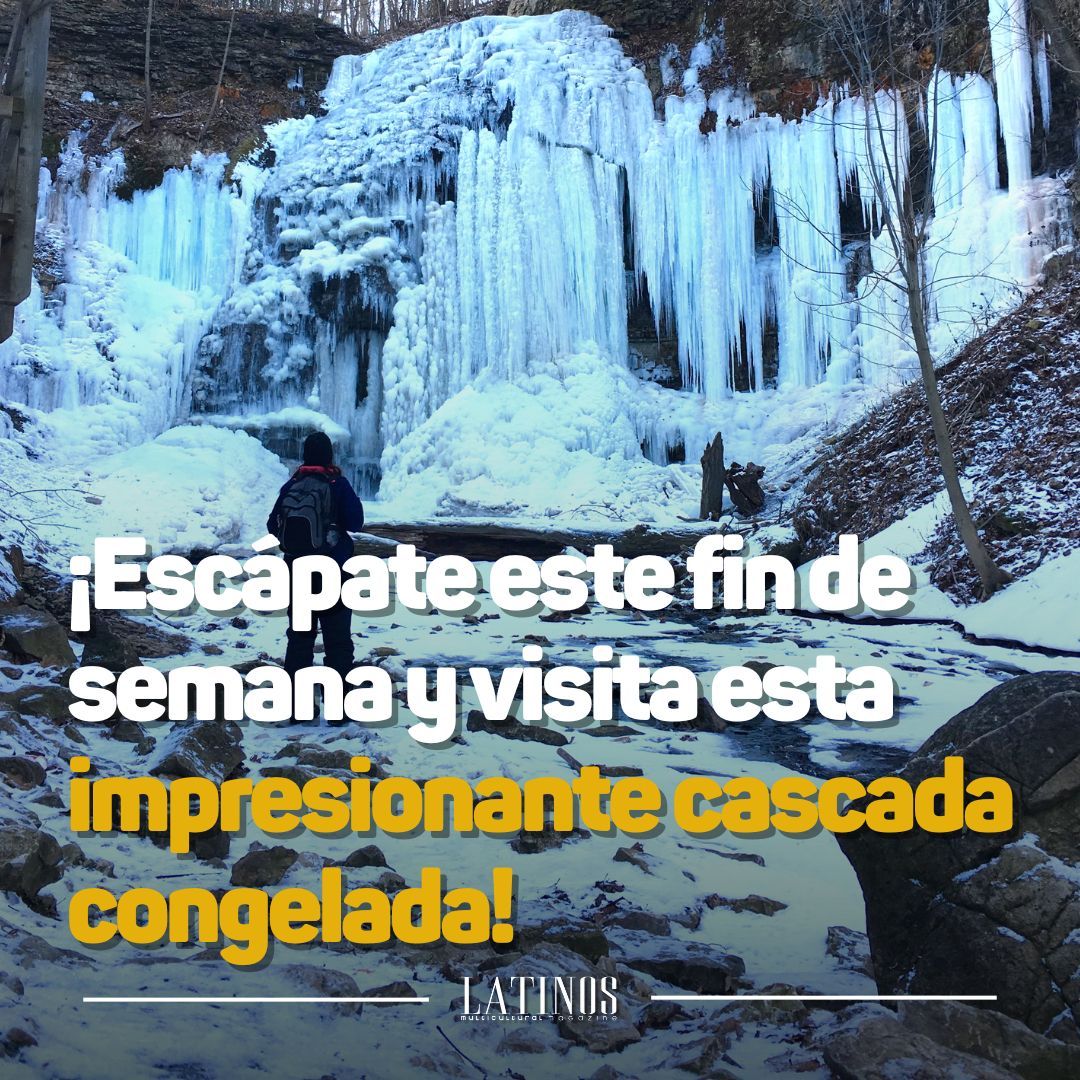Disfruta de la magia de esta impresionante cascada congelada, a solo unos minutos caminando desde el estacionamiento. ¡Una escapada perfecta para disfrutar de la naturaleza cerca de la ciudad! 

📍 A solo 1 hora de Toronto. 
#TiffanyFalls #HamiltonOntario #LatinosMagazine