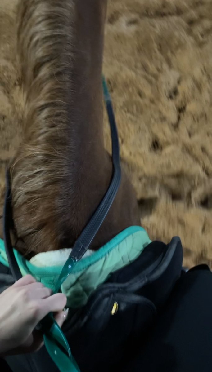 🐎