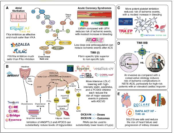 Circulation (@circaha) on Twitter photo #Perspective Celebrating 40 years of success with the TIMI Study Group: origin and future directions <a href="/TIMIStudyGroup/">TIMI Study Group</a> ahajournals.org/doi/full/10.11… #Perspective Celebrating 40 years of success with the TIMI Study Group: origin and future directions <a href="/TIMIStudyGroup/">TIMI Study Group</a> ahajournals.org/doi/full/10.11…