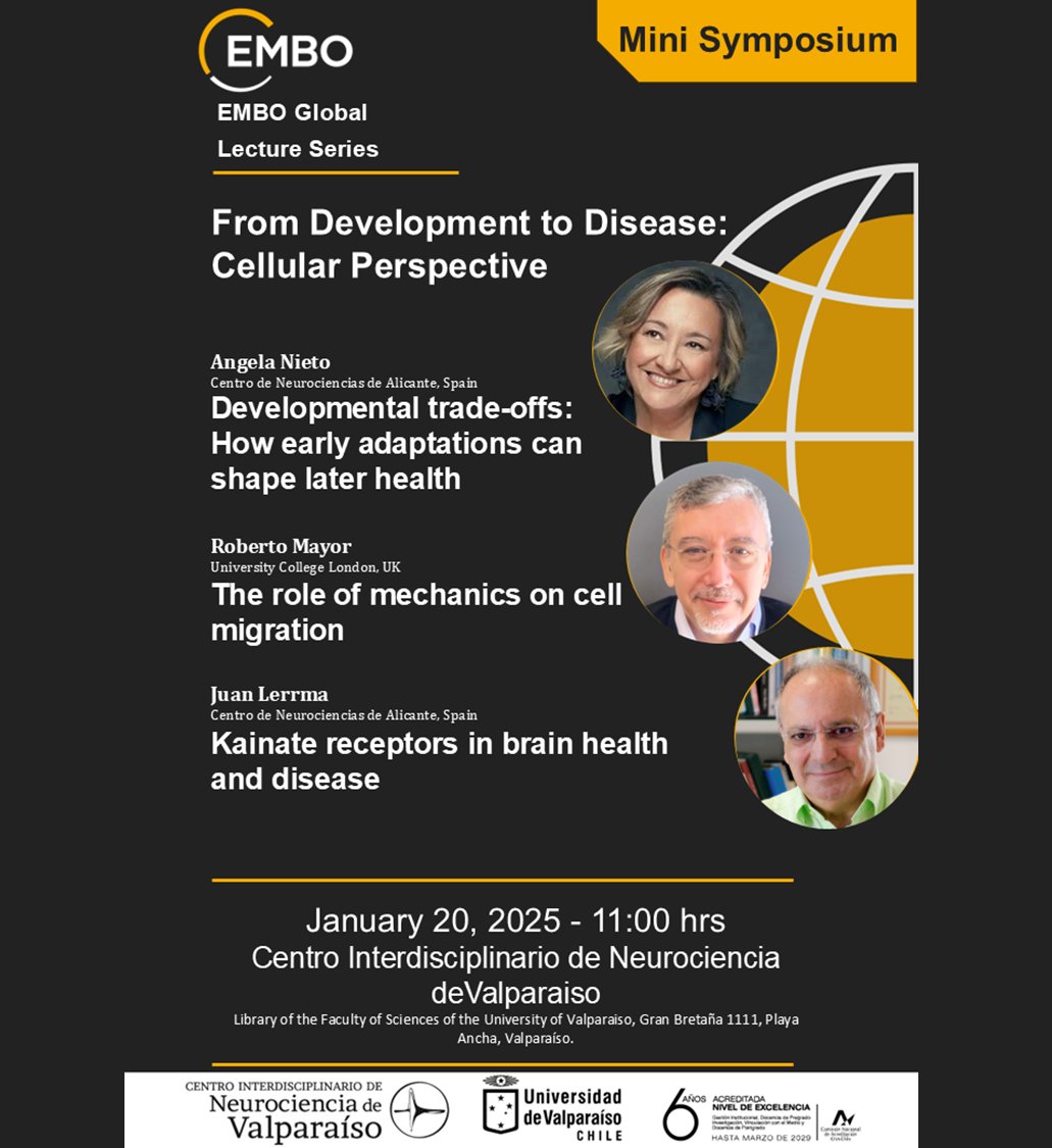 🧠✨ ¡Únete a nosotros en el mini simposio del Centro Interdisciplinario de Neurociencia de Valparaíso (CINV)!✨🧠

🗓️ Fecha: Lunes, 20 de enero
🕚 Hora: A partir de las 11:00 hrs
📍 Lugar: Biblioteca de la Facultad de Ciencias, Gran Bretaña 1111, Playa Ancha, Valparaíso.