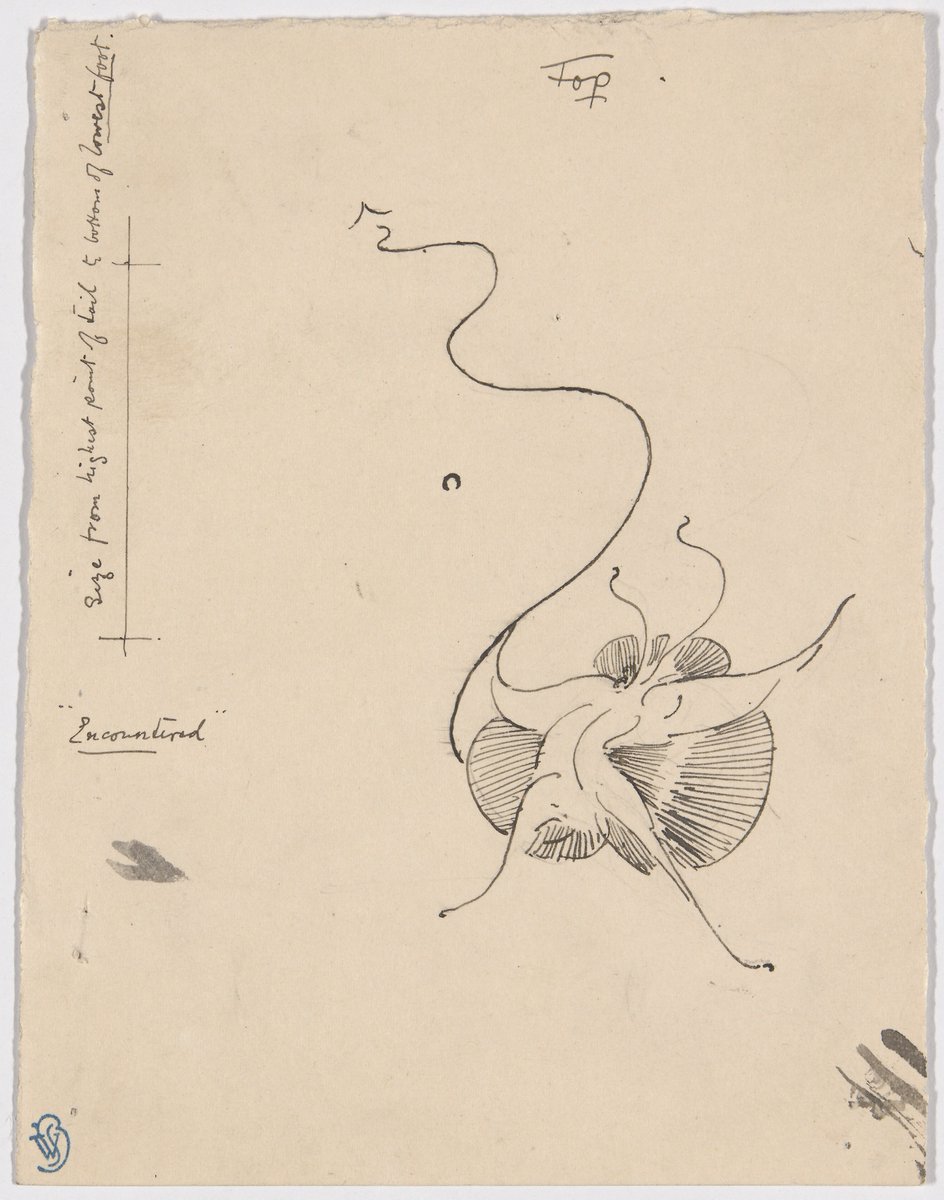 artist_whistler's tweet image. Butterfly "Encountered" (recto); Sketch for Tailpiece (verso)