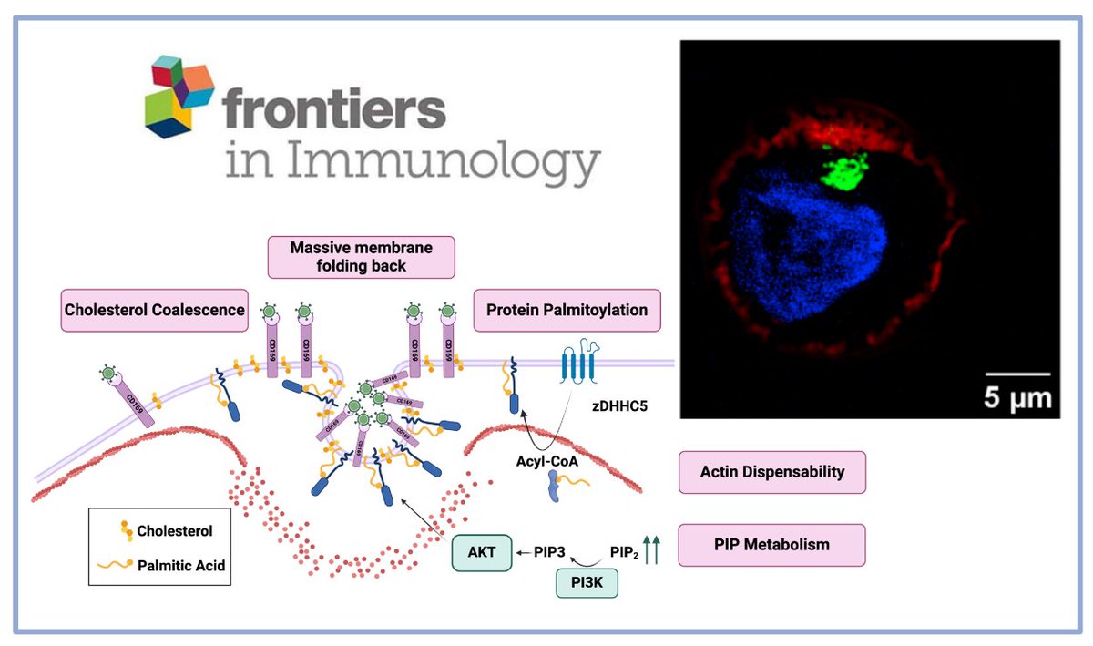 Javier M Picado tweet media